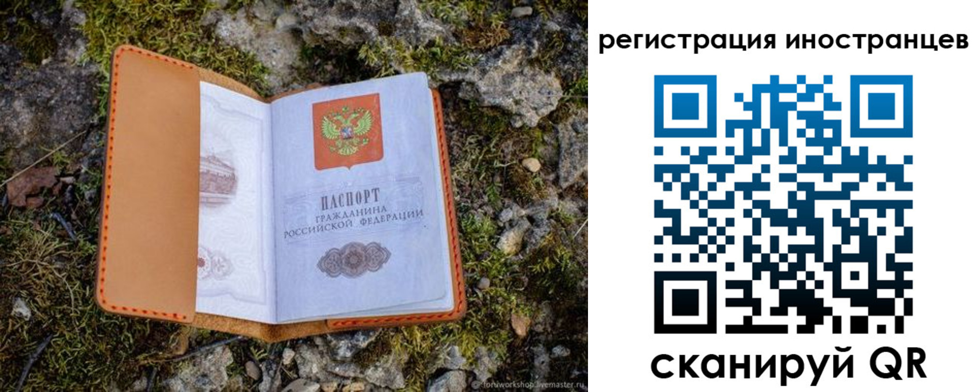 прописка паспорт в Свободном